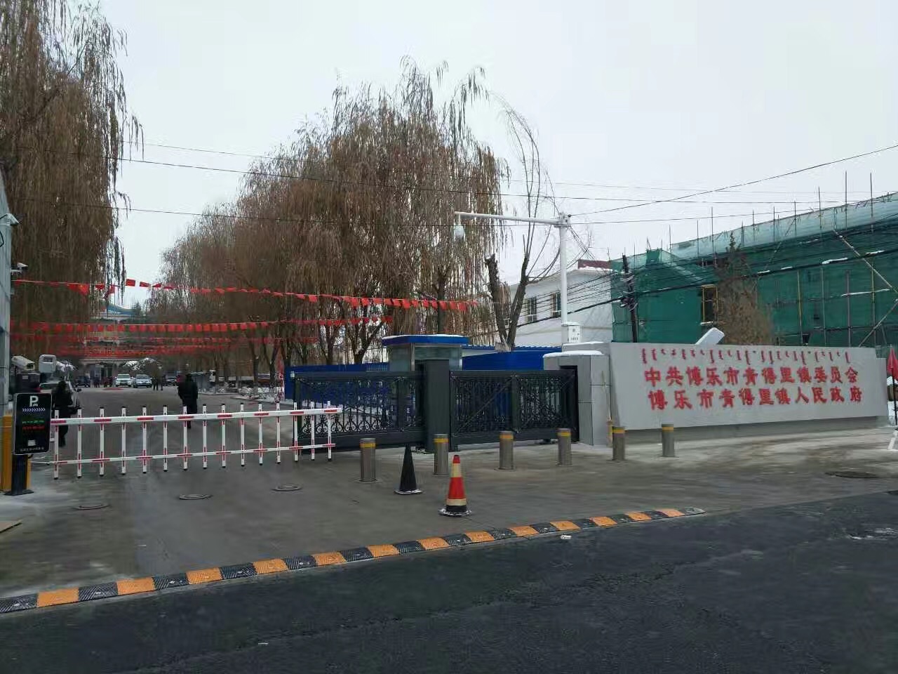 新疆博樂青得里